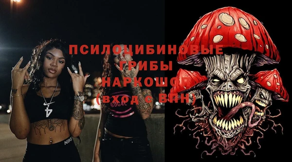 дживик Верея
