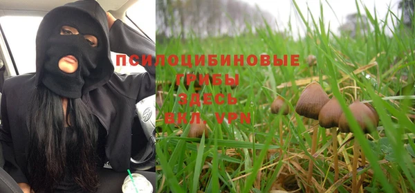 шишки Верхнеуральск