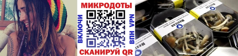 закладки  Павлово  Галлюциногенные грибы Magic Shrooms 